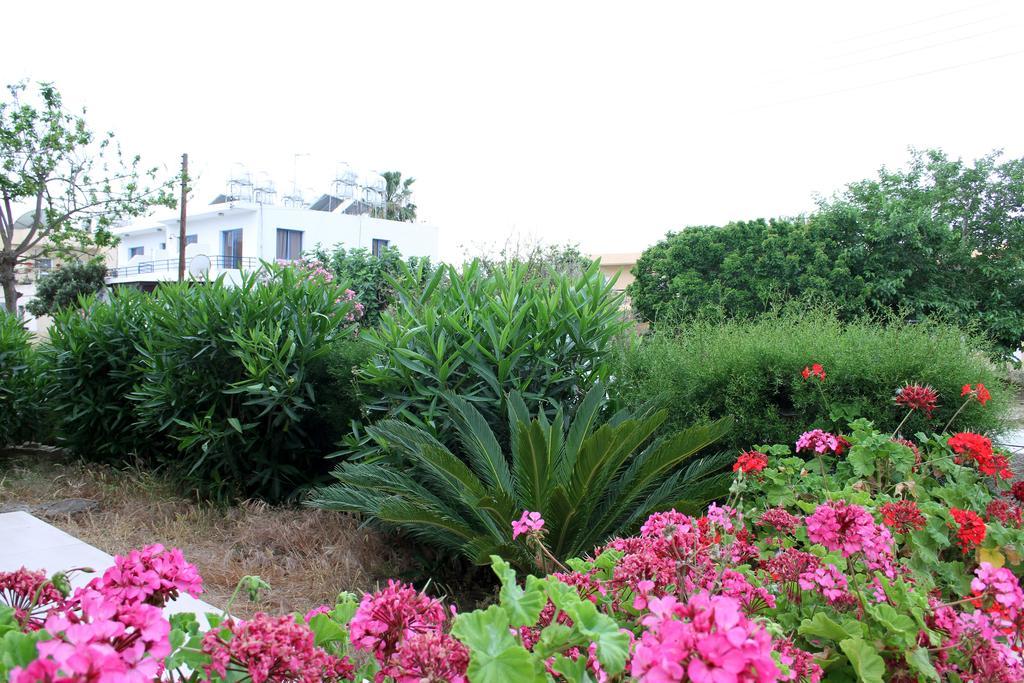 Constantia Gardens Apartments Paphos Exteriör bild